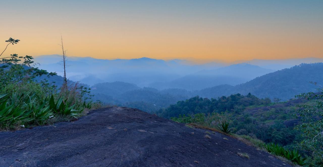 Haze And Kites Resort Munnar Buitenkant foto