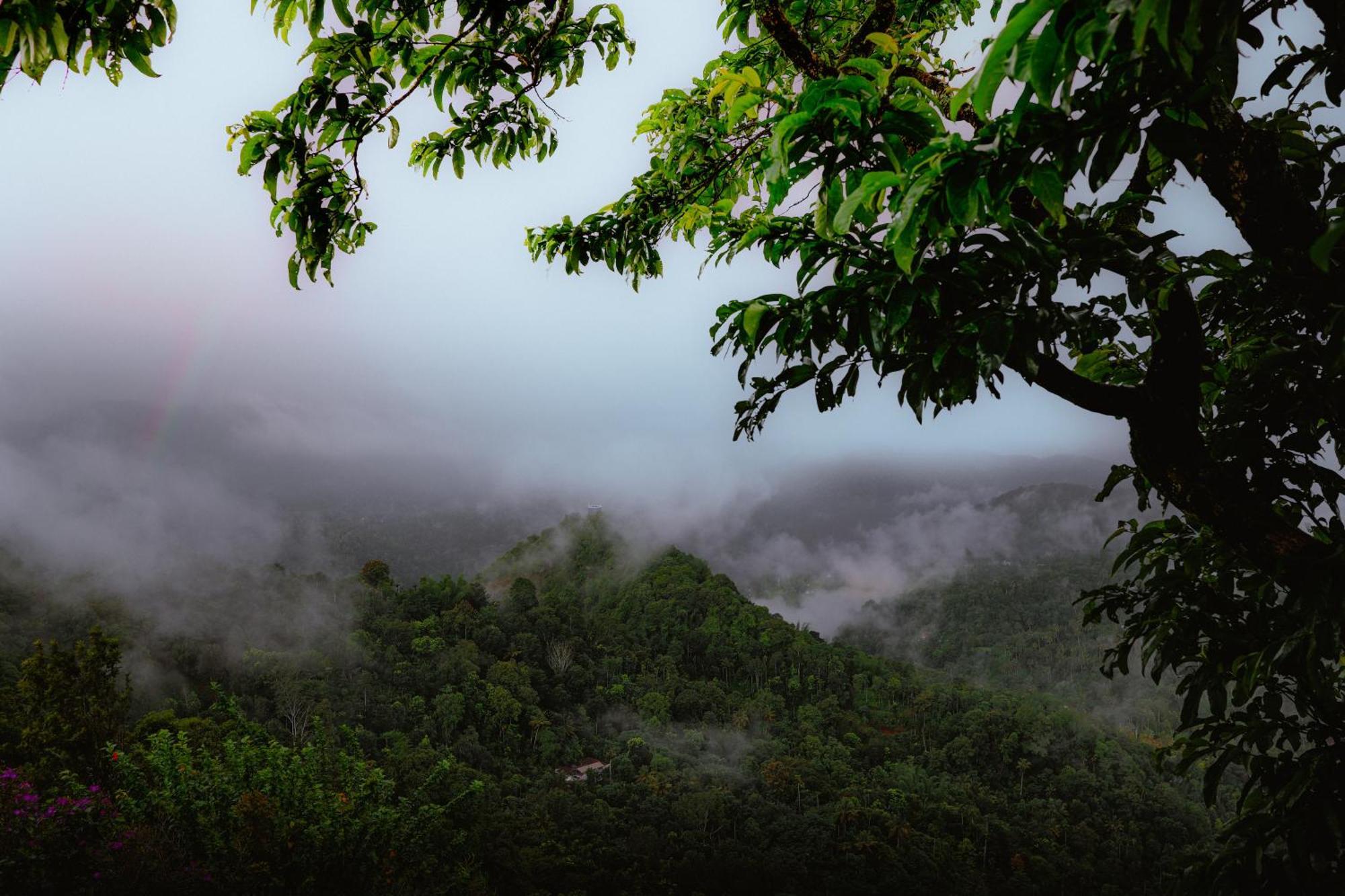 Haze And Kites Resort Munnar Buitenkant foto