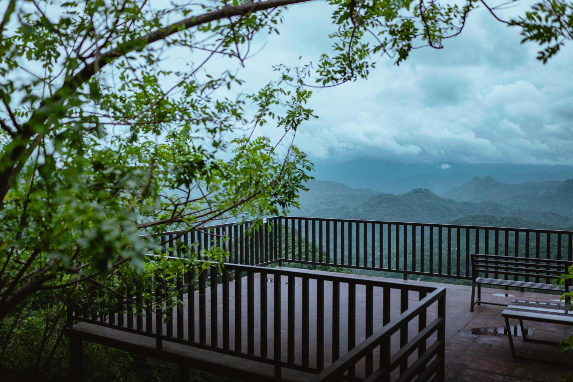Haze And Kites Resort Munnar Buitenkant foto