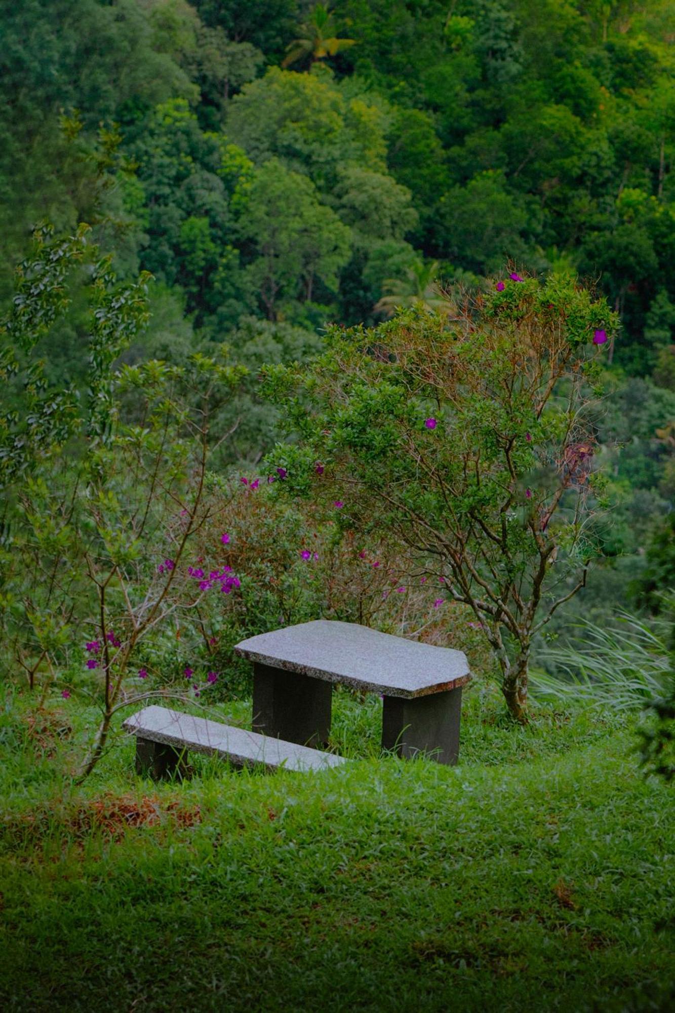 Haze And Kites Resort Munnar Buitenkant foto