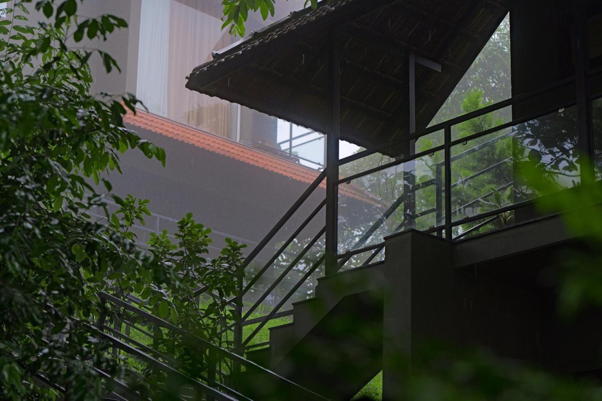 Haze And Kites Resort Munnar Buitenkant foto