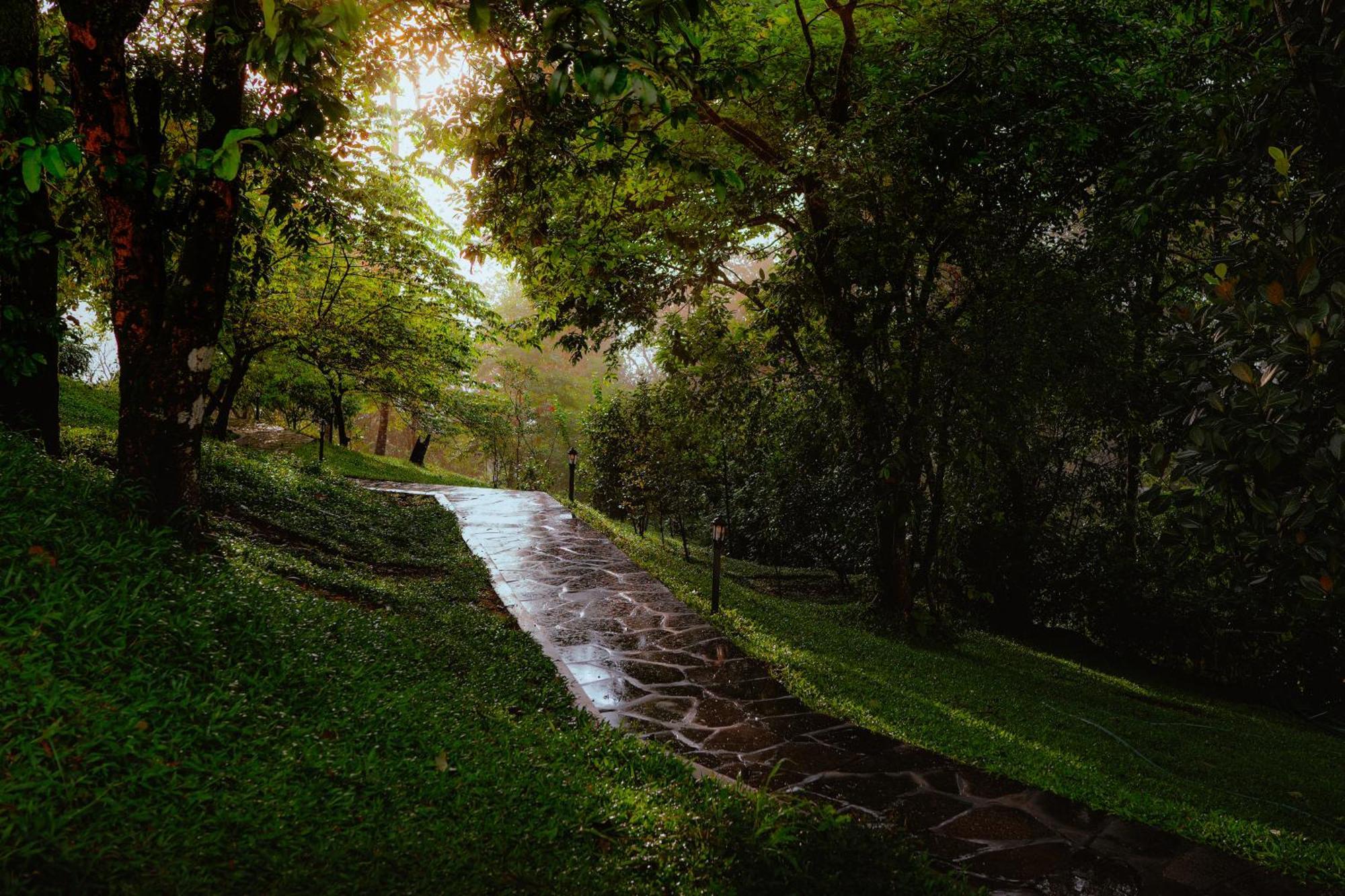 Haze And Kites Resort Munnar Buitenkant foto