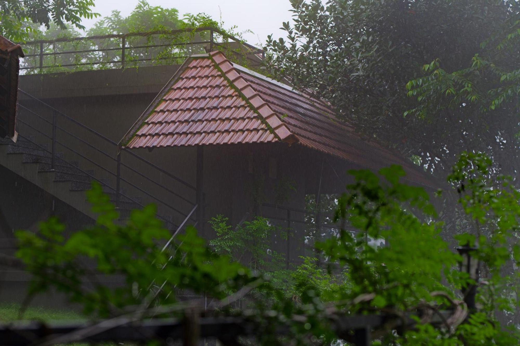 Haze And Kites Resort Munnar Buitenkant foto